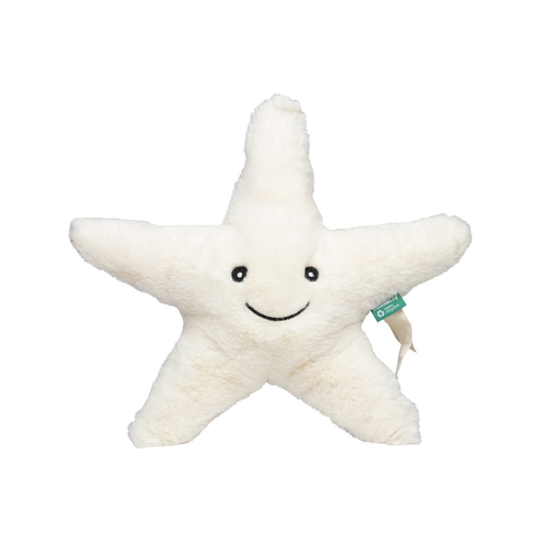 RecycelStarfish