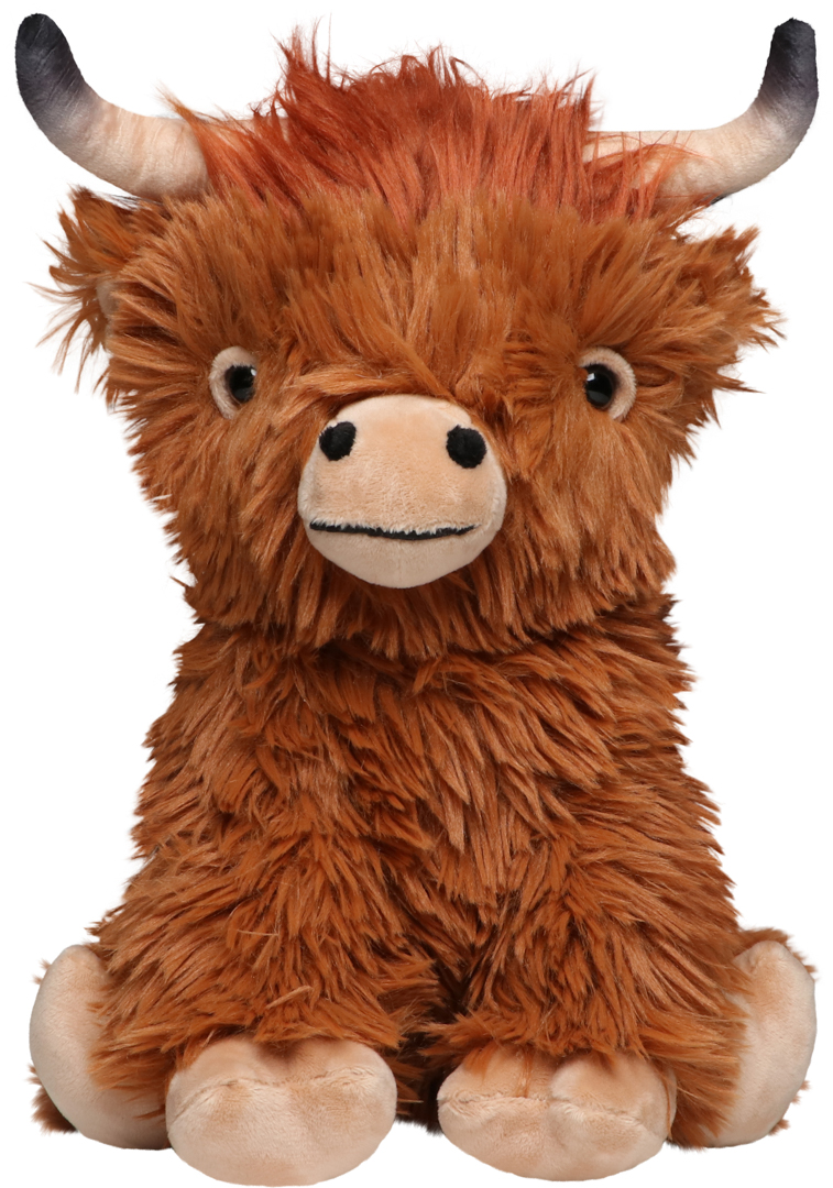 Scottish Highland Cattle Bobby