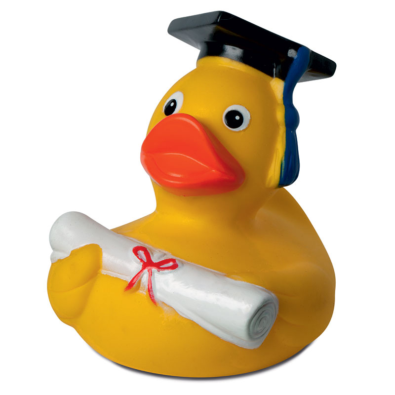 Graduate diploma squeaking duck
