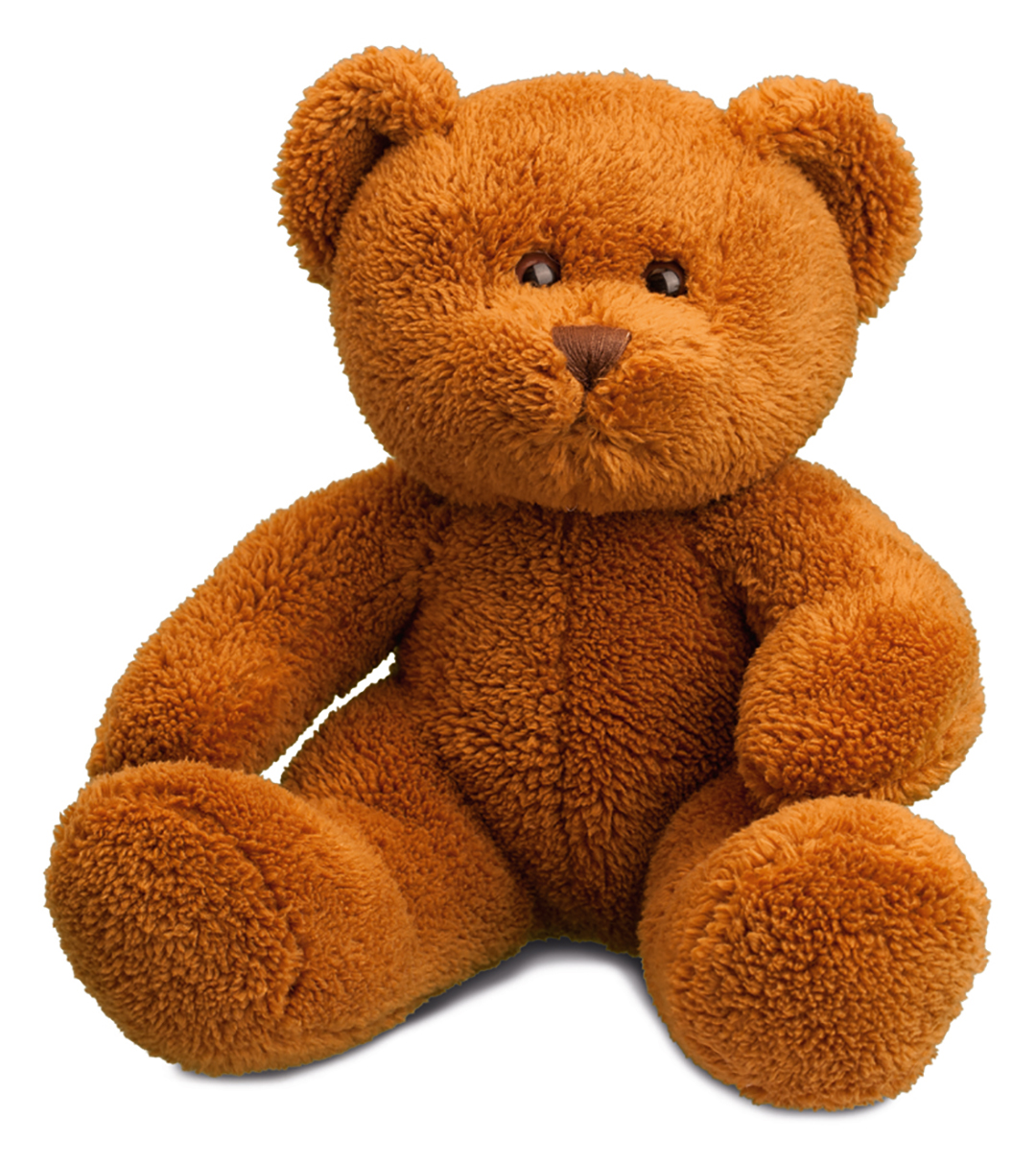softplush teddy bear Michaela