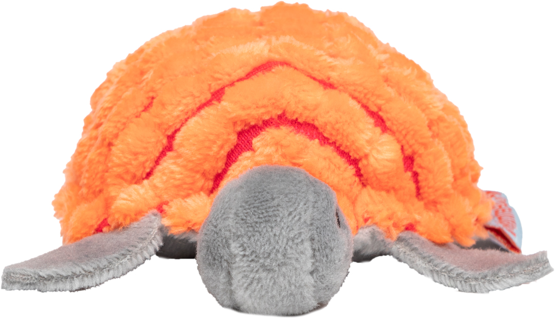 Cat toys turtle