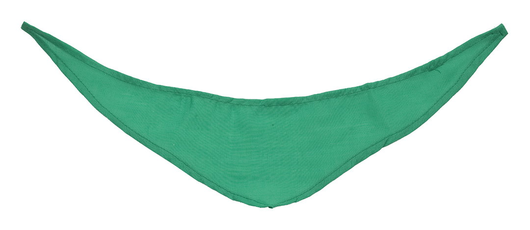 Bandana green M