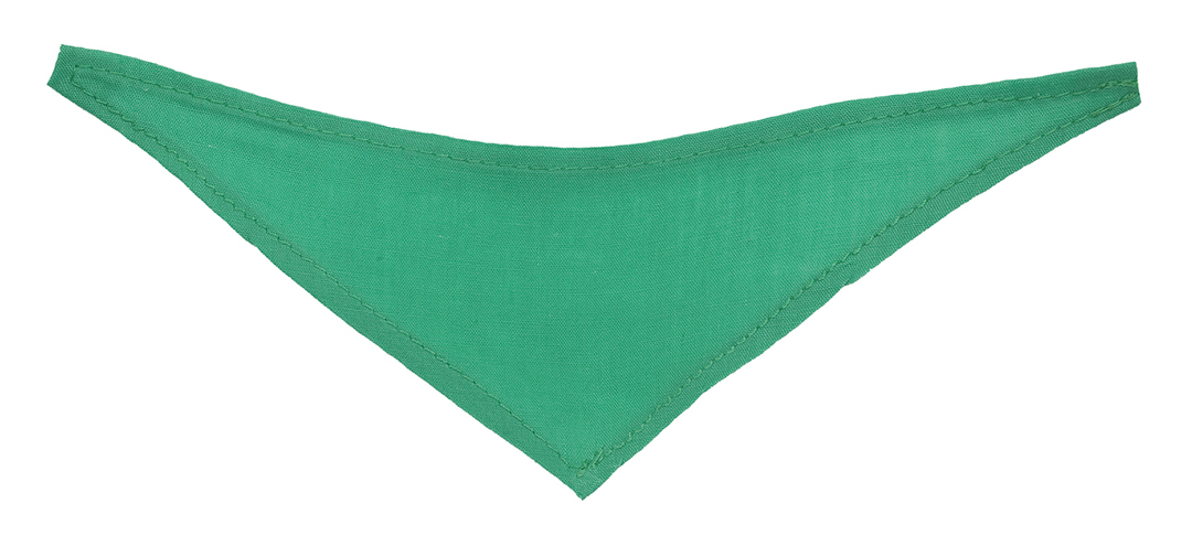Bandana green XS