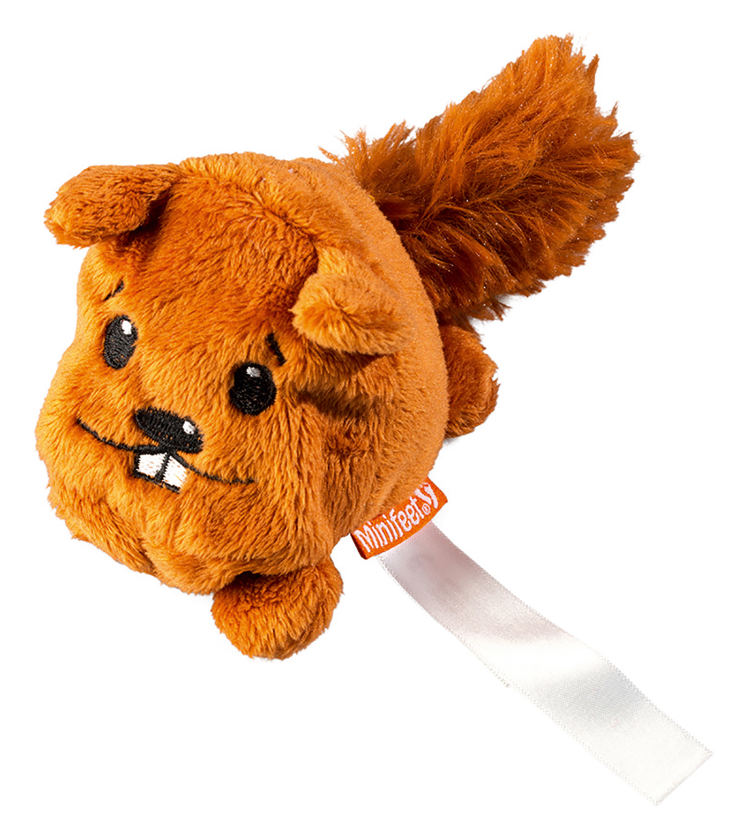 Schmoozies? squirrel