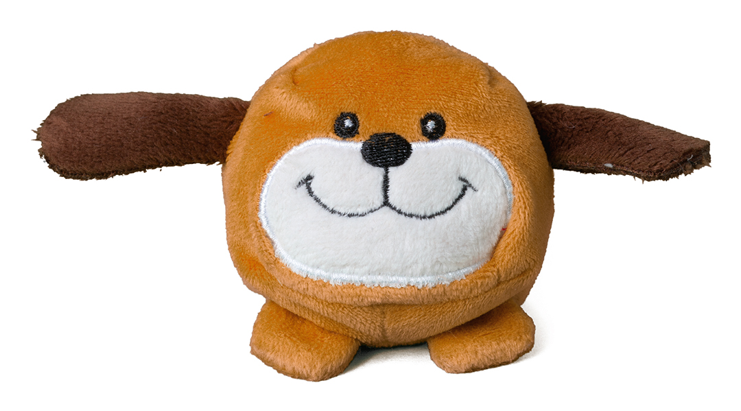 Schmoozies? dog