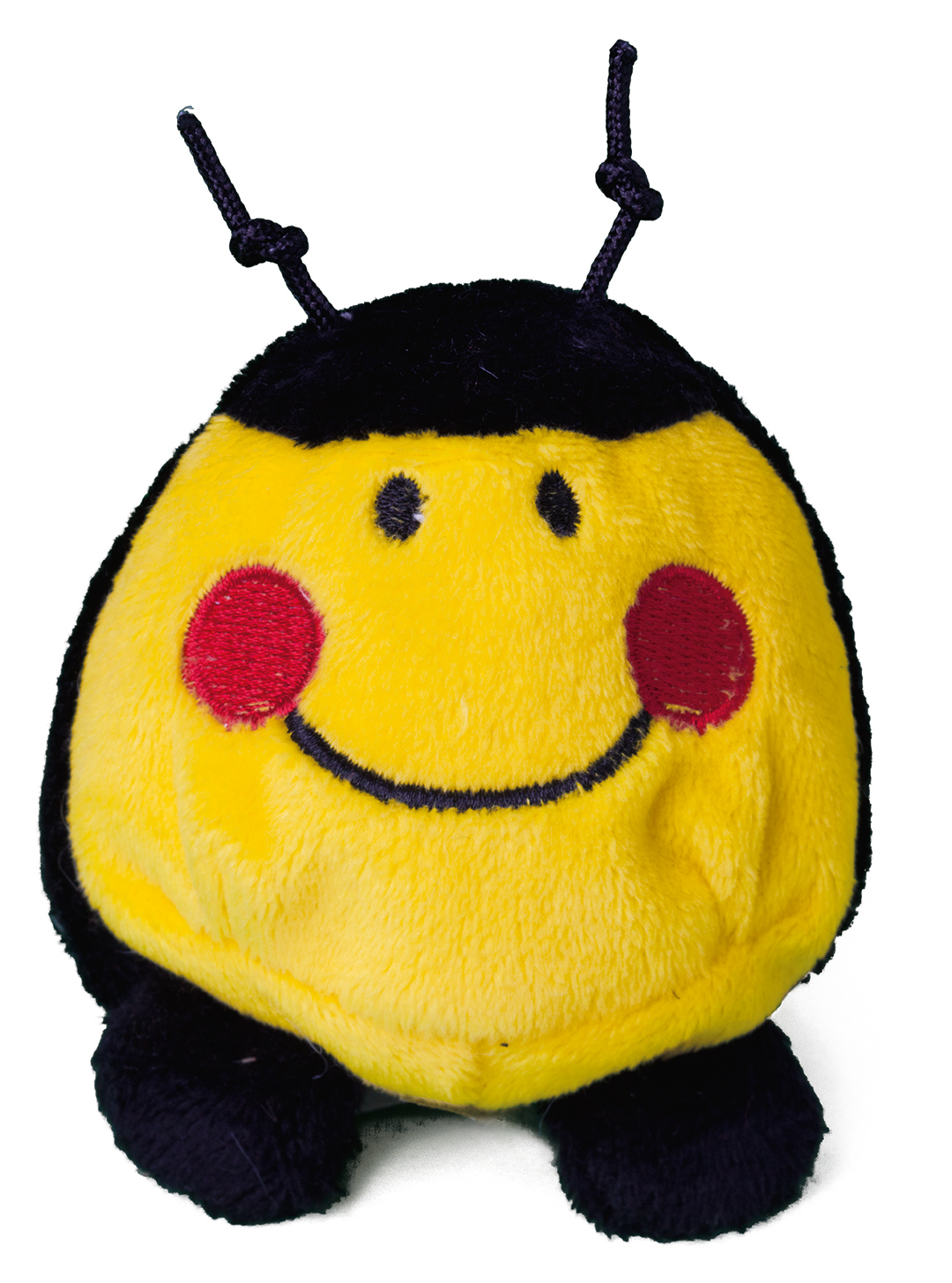 Schmoozies? bee