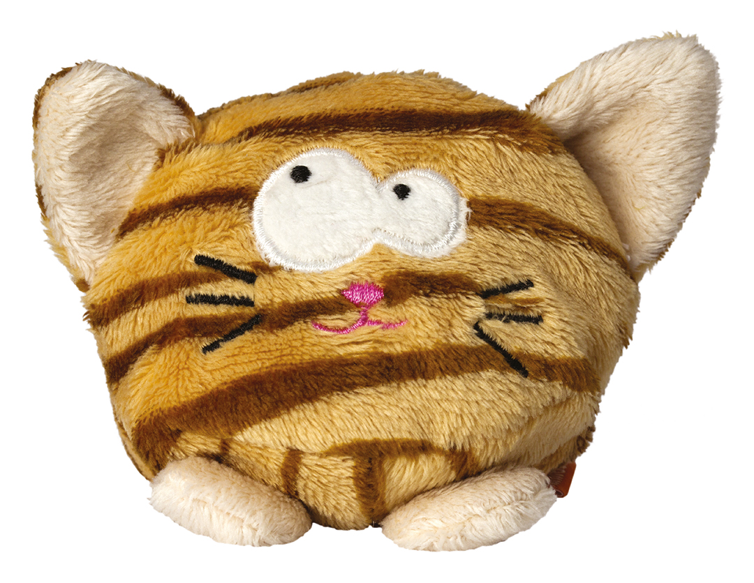 Schmoozies? cat
