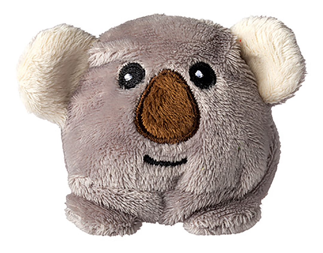 Schmoozies? koala