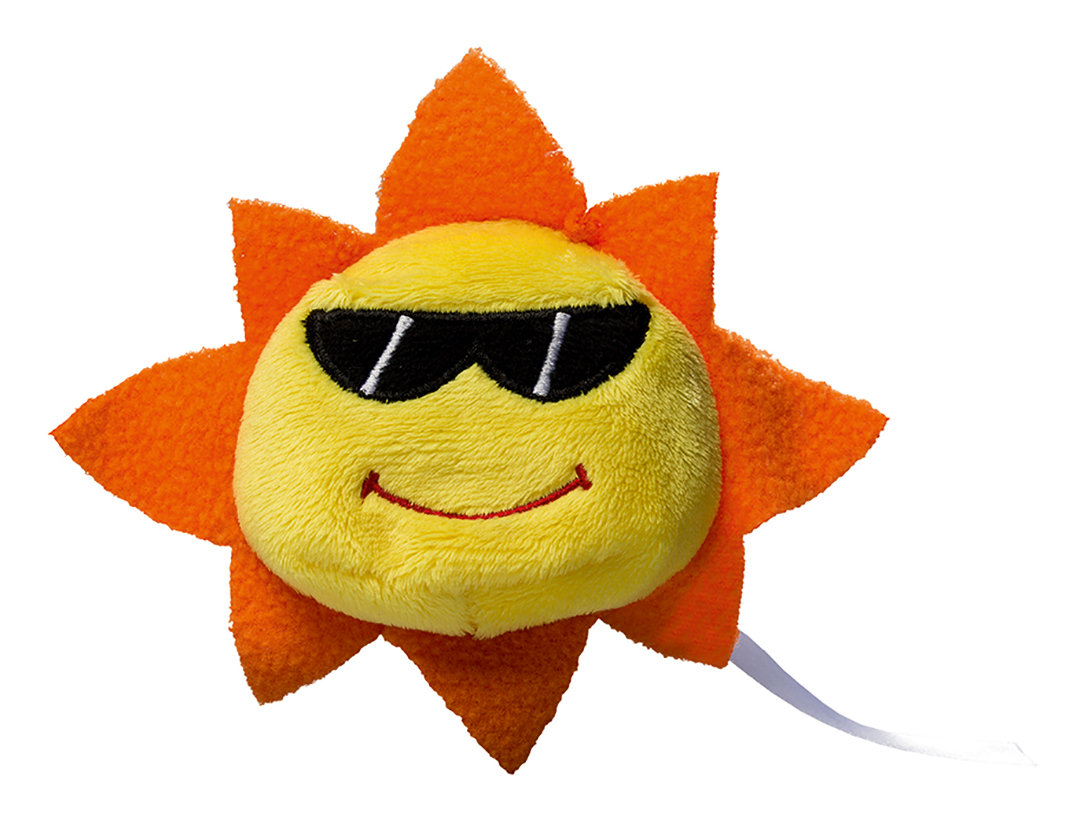 Schmoozies? sun