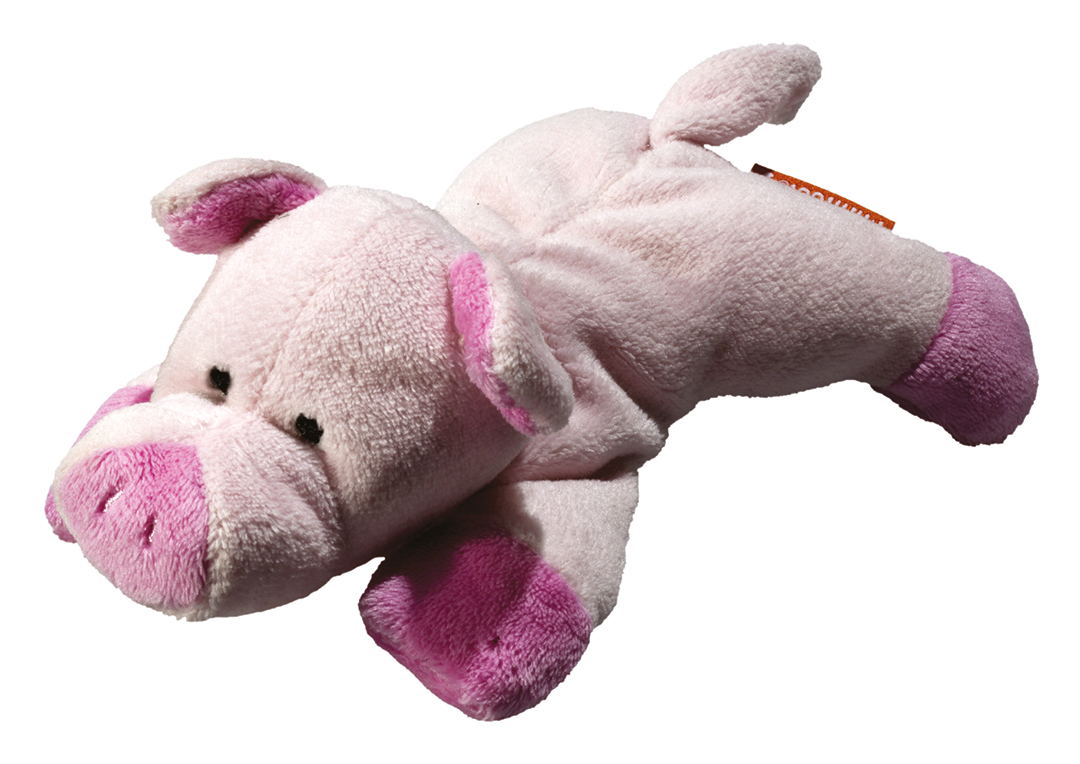 screen cleaner pig