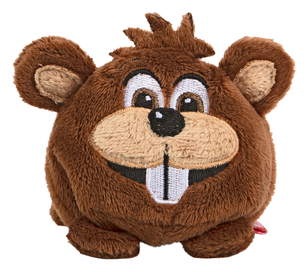 Schmoozies? beaver
