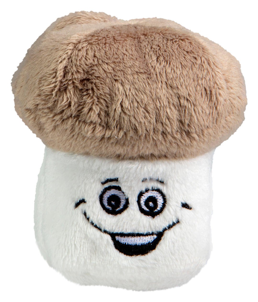Schmoozies? mushroom