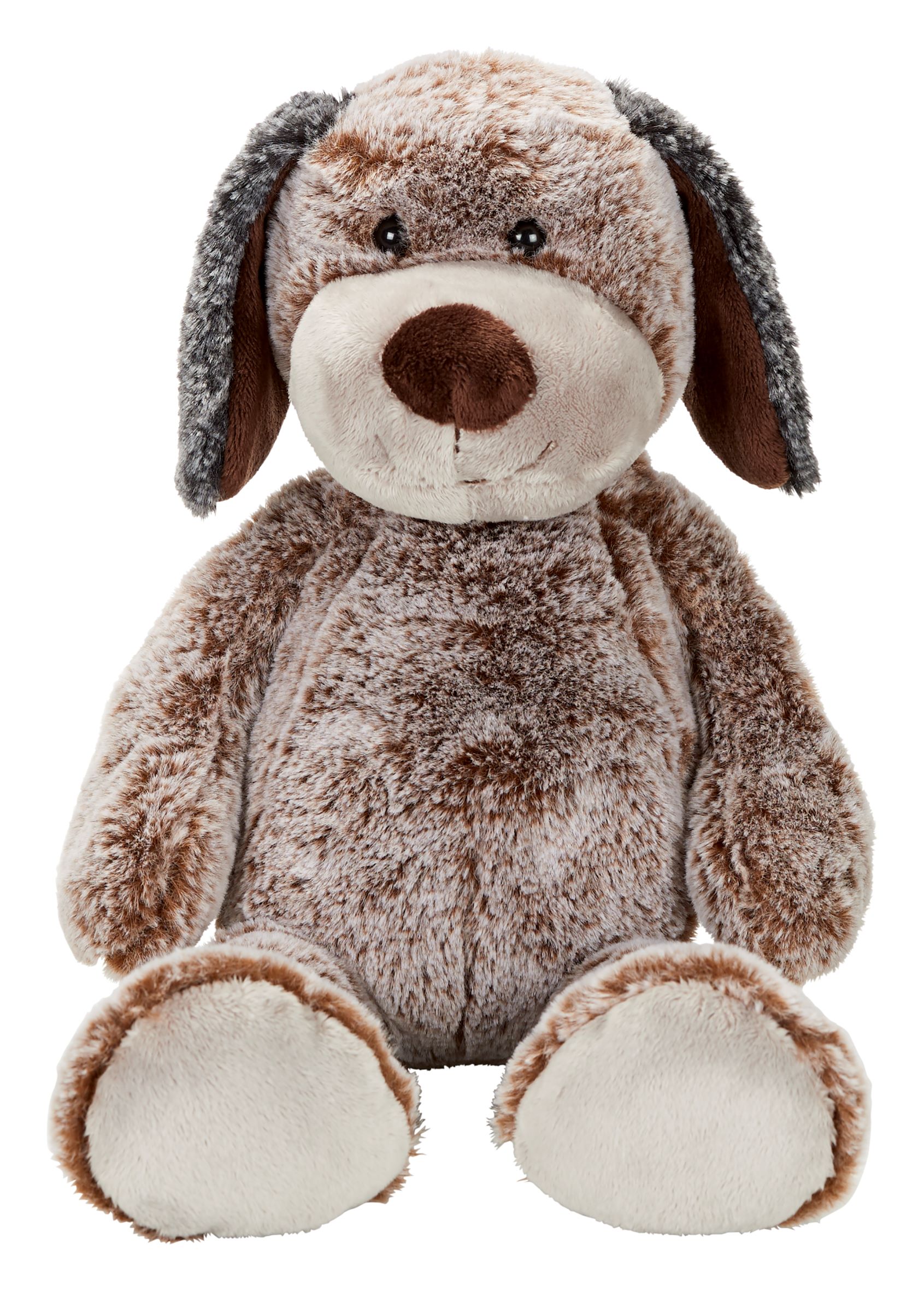 Dog Constantin