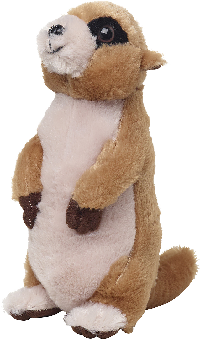 Meerkat J?rgen