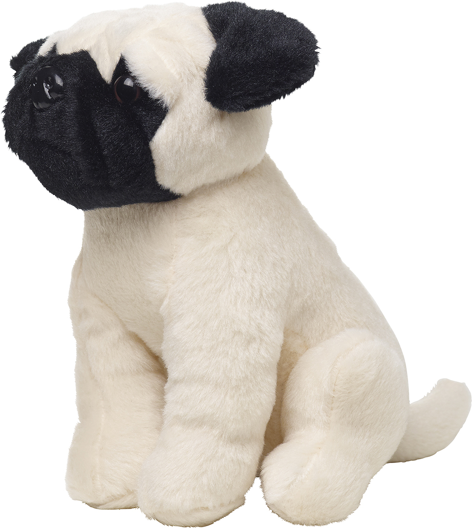 Pug dog Birgit