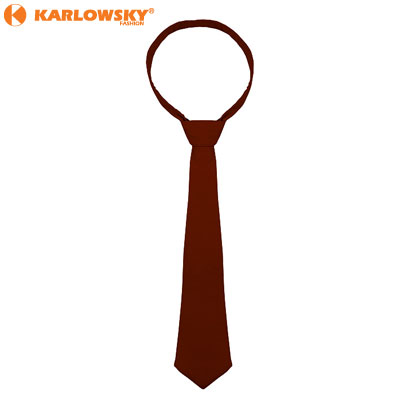 Neck tie - - - bordeaux