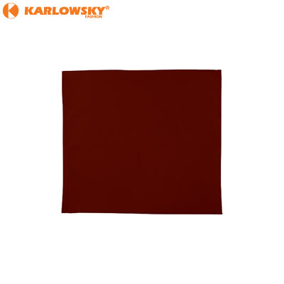 Placemat (pack of 2) - Prado - rust