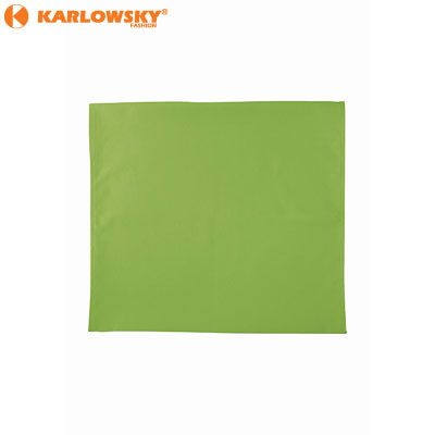 Placemat (pack of 2) - Prado - light green